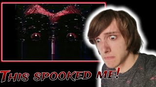 BATTINGTONS NEW VIDEO IS HORRIFYING  FNAFVHS Reaction [upl. by Orazio169]