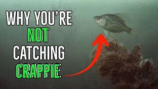 StepByStep Guide To Ice Fish For Crappie In Crystalclear Water Underwater Footage [upl. by Wesley]