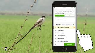 Reporting Unusual Birds on eBird Mobile  eBird Essentials [upl. by Leroy]