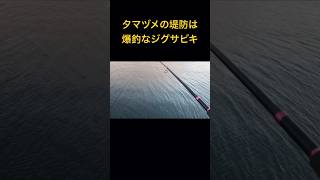 夕マヅメの堤防なら爆釣なジグサビキ 知多半島 知多湾ジグサビキ知多半島夕マヅメ [upl. by Anairotciv216]