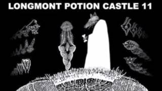 Longmont Potion Castle 11  Molecular Lionel [upl. by Aicertal439]