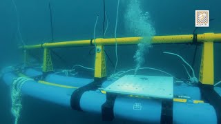 Offshore Submersible Cage  Aquaculture Technology Innovation by Aquatec 2018 [upl. by Nazario72]