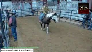 Casino Classic Horse Sale  Oak Grove Kentucky [upl. by Euqinu]