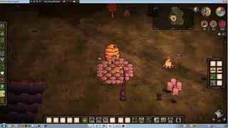 Bee Queen Trap With Wickerbottom  Dont Starve Together Guide [upl. by Ymorej]