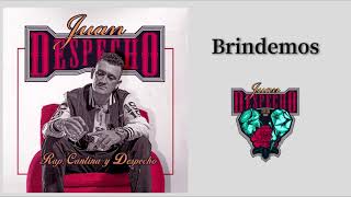 Brindemos  Juan Despecho  Audio Oficial  Hoy Brindo [upl. by Mcferren]