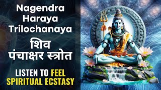 Nagendra Haraya Trilochanaya  Shiv Panchakshar Stotra पंचाक्षर स्त्रोत  Shiva Bhakti Songs [upl. by Norb]