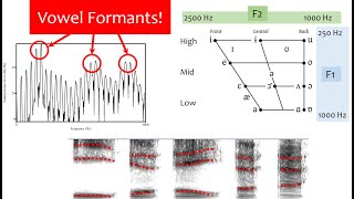 Speech Acoustics 5  vowel formants [upl. by Setarcos]