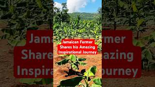 🧑‍🌾AMAZING FARM TOUR Humble JAMAICAN Farmer Shares his LIFE STORY💪🏾 [upl. by Leahci]