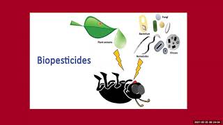 Biopesticides Part 1 [upl. by Annaxor]