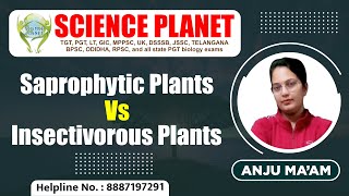 Saprophytic Plants Vs Insectivorous Plants by Anju Mam SaprophyticPlants InsectivorousPlants [upl. by Enimassej]