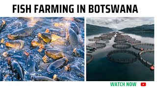 Fish Farming in BotswanaFisheries and Aquaculture [upl. by Anilesor]