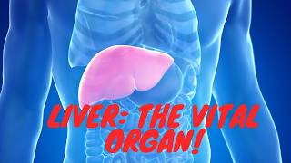 Liver Physiology Explained The Organ You Cant Live Without [upl. by Aihn605]