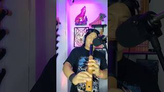 Wakan Tanka cover nativeamericanflute flute music nativemusic duet [upl. by Enaujed]