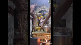 11th April Thursday dhanvantari thirumanjanam sri ahobila mutt temple Chembur Mumbai [upl. by Alfonzo]