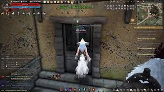 New Account Noob To Pro Grindfest 3000  Black Desert Online  Tips amp Tricks [upl. by Bubb791]