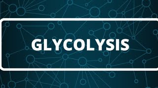 Biochemistry  Glycolysis part 1 كيمياء حيوية كيفية تحلل السكر [upl. by Ahsenom]