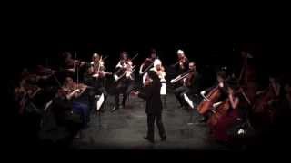 Vasily KalinnikovSerenade for String Orchestra [upl. by Azaleah]