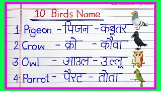 10 birds name  l10 birds name in english and hindi  birds name english  birds name english mein [upl. by Enytnoel]