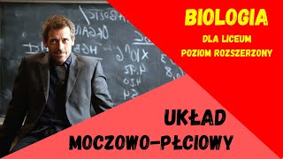 Układ moczowopłciowy Biologia rozszerzona do matury matura [upl. by Tanah]