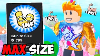 Buying Infinite Size Gamepass In Roblox Muscle Lifting Simulator [upl. by Nevear423]