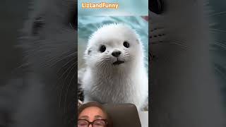 So adorable These super cute baby otters will melt your heart short soadorable babyotters [upl. by Fanni843]