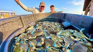 THE MOST AMAZING CRABBING IVE EVER DONE Catch Clean Cook Florida vs Georgia Crabs [upl. by Vig365]