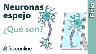 🧠 Qué SON las NEURONAS ESPEJO y cómo AYUDAN a recuperarnos de LESIONES 🪞 [upl. by Anyd630]