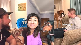 Bark at Your Dog Challenge 😂 TikTok Compilation 2023 2 [upl. by Grae]