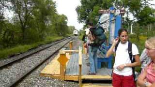 Female hikers beautify Metro North Train 9942 [upl. by Slorac655]