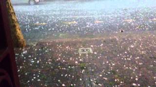 Hail storm Charlotte street Brisbane 20141127 T [upl. by Yorgos]