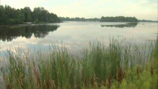 Ultralight fishing for Panfish Lake Simcoe ON Csf 24 21 03 [upl. by Donata327]