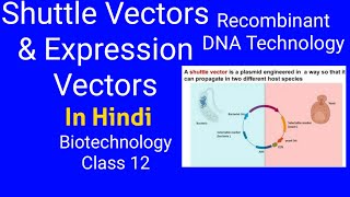 SHUTTLE VECTORS amp EXPRESSION VECTORS Hindi Biotechnology Tools in R DNA technologyclass 12 [upl. by Arlen]