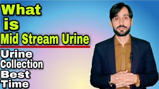 What is the best time to collect urine sample What is Mid Stream Urine [upl. by Otrebile]