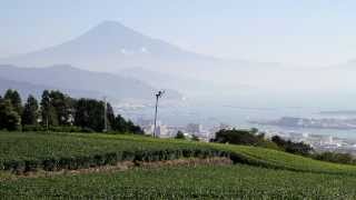 静岡県 日本平の茶畑と富士山 その2 [upl. by Radec]