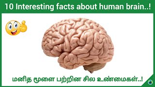 Interesting facts about human brain  How it works  Human brain facts  Tamil  BioWorld  BW [upl. by Leizo]