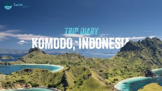 Komodo Indonesia  SwimTrek Trip Diary [upl. by Alleda986]