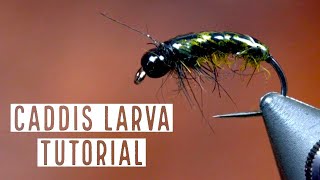 Caddis Larva Fly Pattern Fly Tying Tutorial [upl. by Ozkum]