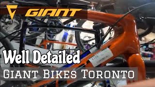 GIANT Brand New Bikes  Toronto Branch  So Many Bikes [upl. by Anawal857]