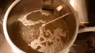 Malting Barley  Steeping [upl. by Madel]