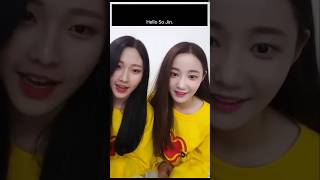 Yeonwoo and Nayun Momolands Favourite Song 😂😂 [upl. by Egroej]