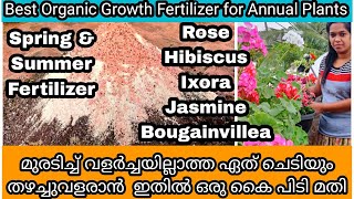 Secret Growth Fertilizer for Permanent Flowering Plants  ചെടി തഴച്ച് വളരാൻ ഒരു അടിപൊളി വളം [upl. by Madelyn]