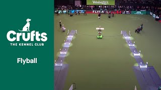 Flyball  Quarter Finals  Crufts 2022 [upl. by Oironoh]