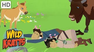 Wild Kratts  Animal Defensive Creature Powers [upl. by Macknair]