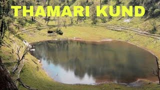 Munsiyari hidden track to  THAMARI KHUND [upl. by Enomsed]