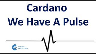 Cardano We Have A Pulse [upl. by Evangelist260]