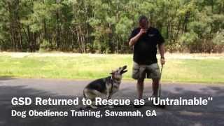 Can LowCountry Dog Trainers train an untrainable dog [upl. by Hurwit]