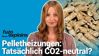 Heizen mit Holz Warum Pelletheizungen nicht immer CO2neutral sind [upl. by Yllrebmik985]