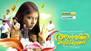 Ann Maria Kalippilaanu All Songs Audio Jukebox [upl. by Horodko]