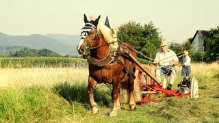 Historische HeuErnte 2012 in AchernFautenbach [upl. by Enotna927]