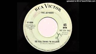 The Jaybees  Do You Think Im In Love RCA Victor 478904 1966 garage [upl. by Neeluqcaj]